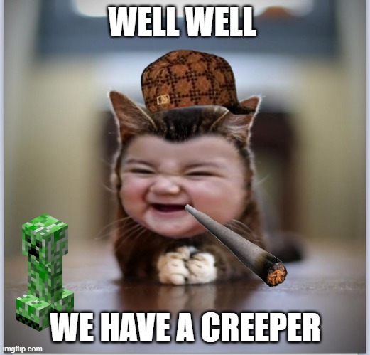 evil toddler kitten | WELL WELL; WE HAVE A CREEPER | image tagged in evil toddler kitten | made w/ Imgflip meme maker