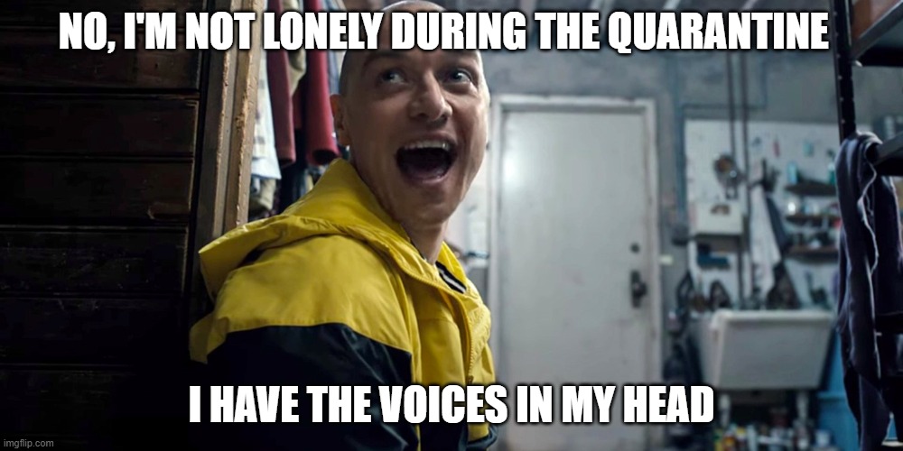Voices in my head | NO, I'M NOT LONELY DURING THE QUARANTINE; I HAVE THE VOICES IN MY HEAD | image tagged in voice,not lonely | made w/ Imgflip meme maker