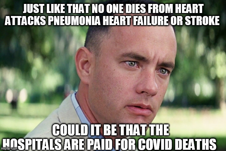 And Just Like That Meme | JUST LIKE THAT NO ONE DIES FROM HEART ATTACKS PNEUMONIA HEART FAILURE OR STROKE; COULD IT BE THAT THE HOSPITALS ARE PAID FOR COVID DEATHS | image tagged in memes,and just like that | made w/ Imgflip meme maker