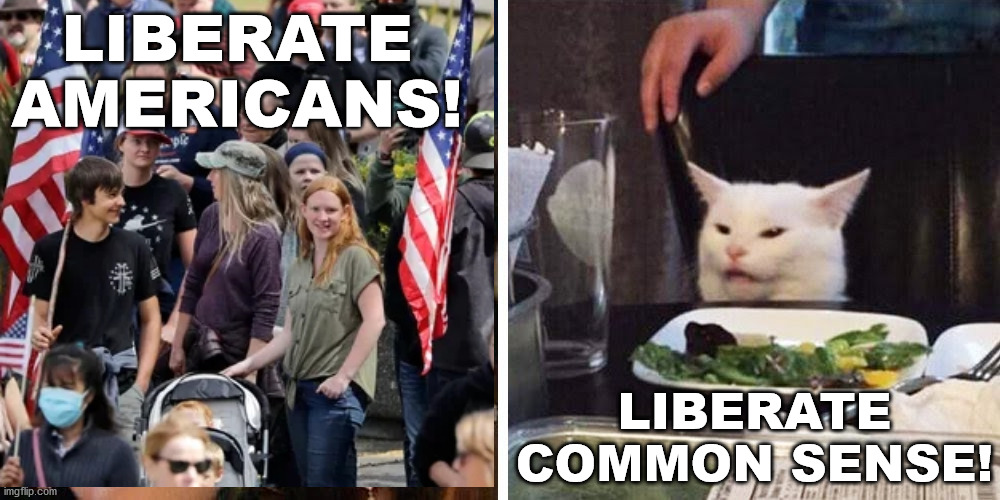 Smudge the cat | LIBERATE
AMERICANS! LIBERATE
COMMON SENSE! | image tagged in smudge the cat | made w/ Imgflip meme maker