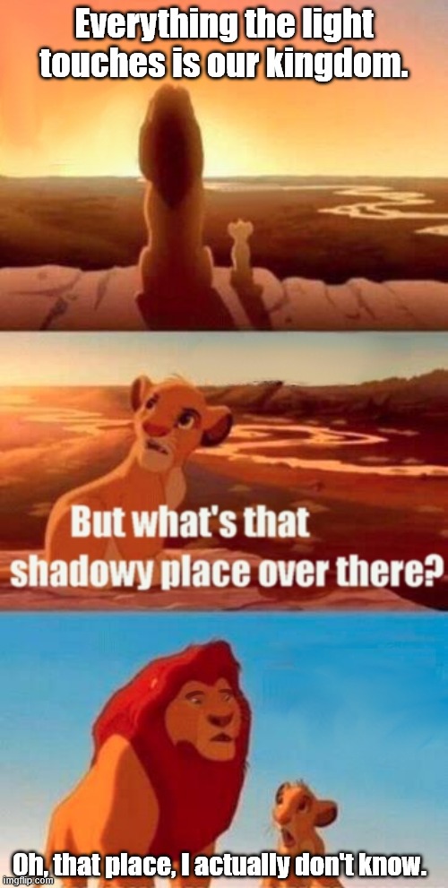Really Mufasa? | Everything the light touches is our kingdom. Oh, that place, I actually don't know. | image tagged in mufasa,simba,parody | made w/ Imgflip meme maker