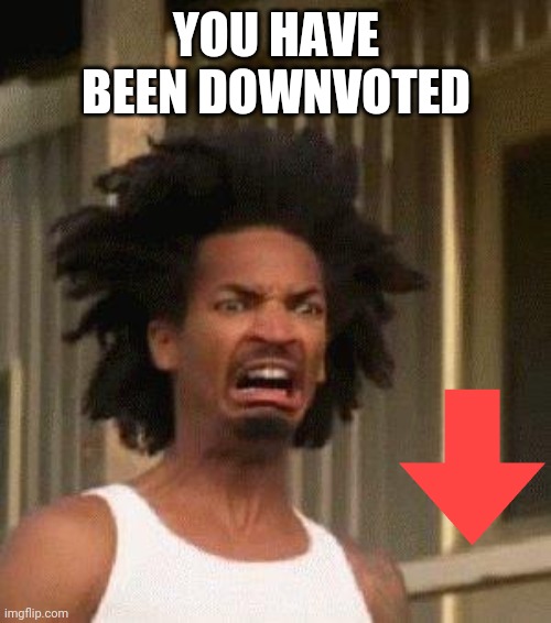 Disgusted Face | YOU HAVE BEEN DOWNVOTED | image tagged in disgusted face | made w/ Imgflip meme maker