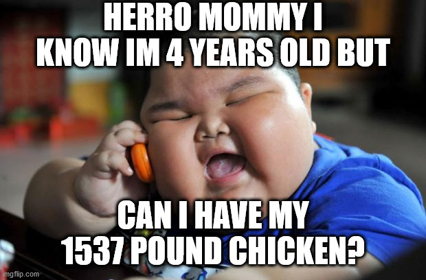 Fat Asian Kid | HERRO MOMMY I KNOW IM 4 YEARS OLD BUT; CAN I HAVE MY 1537 POUND CHICKEN? | image tagged in fat asian kid | made w/ Imgflip meme maker