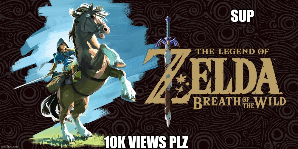 Legend of Zelda | SUP; 10K VIEWS PLZ | image tagged in legend of zelda,best game,legend,views,plz | made w/ Imgflip meme maker