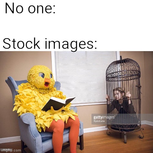 No one:; Stock images: | image tagged in stock image | made w/ Imgflip meme maker
