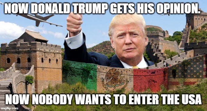 donald trumps wall | NOW DONALD TRUMP GETS HIS OPINION. NOW NOBODY WANTS TO ENTER THE USA | image tagged in coronavirus | made w/ Imgflip meme maker