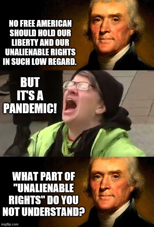 Thomas Jefferson vs Screaming leftist tyrant | image tagged in thomas jefferson | made w/ Imgflip meme maker