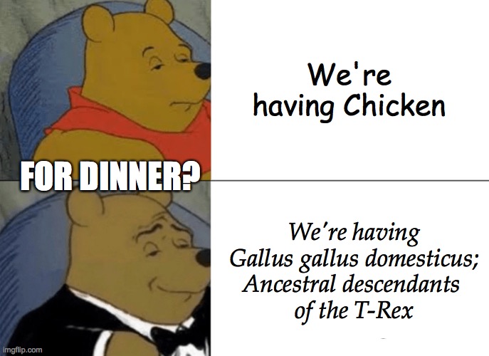 Tuxedo Winnie The Pooh Meme | We're having Chicken; FOR DINNER? We're having Gallus gallus domesticus; Ancestral descendants 
of the T-Rex | image tagged in memes,tuxedo winnie the pooh,chicken,t-rex,latin | made w/ Imgflip meme maker