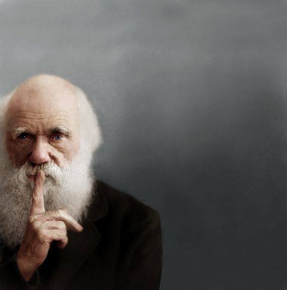 High Quality Darwin Award Blank Meme Template