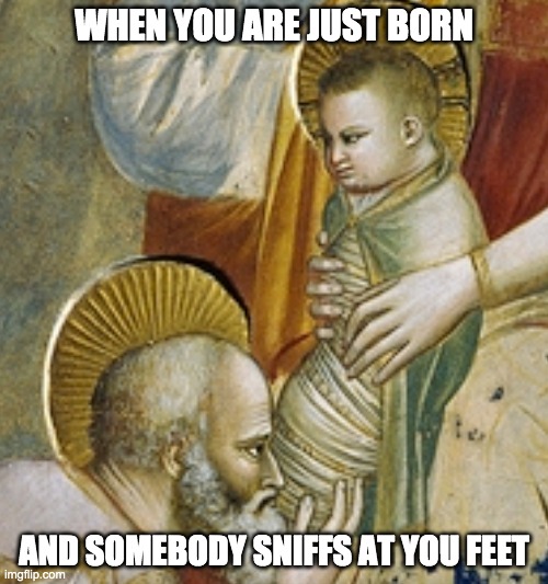 Adoration of the Magi | WHEN YOU ARE JUST BORN; AND SOMEBODY SNIFFS AT YOU FEET | image tagged in adoration of the magi,jesus,seriously,seriously face | made w/ Imgflip meme maker