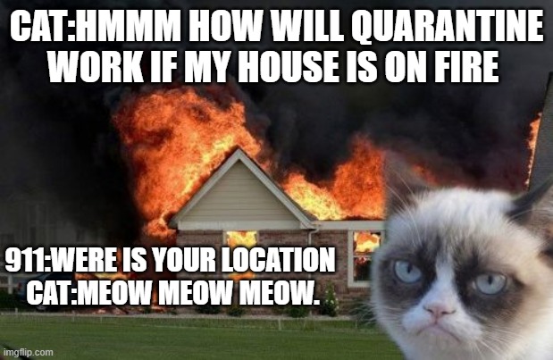 Burn Kitty Meme | CAT:HMMM HOW WILL QUARANTINE WORK IF MY HOUSE IS ON FIRE; 911:WERE IS YOUR LOCATION 
CAT:MEOW MEOW MEOW. | image tagged in memes,burn kitty,grumpy cat | made w/ Imgflip meme maker