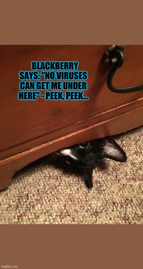 BlackBerry Peeks | BLACKBERRY SAYS: "NO VIRUSES CAN GET ME UNDER HERE" - PEEK, PEEK... | image tagged in kitty,hide and seek | made w/ Imgflip meme maker