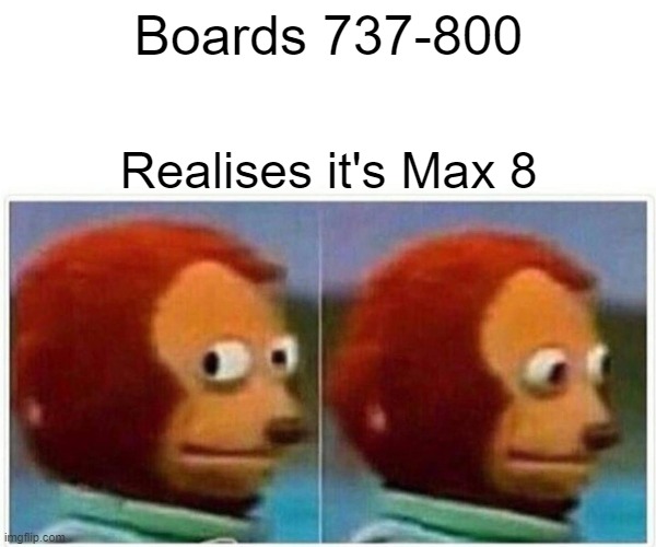 Monkey Puppet Meme | Boards 737-800; Realises it's Max 8 | image tagged in memes,monkey puppet | made w/ Imgflip meme maker