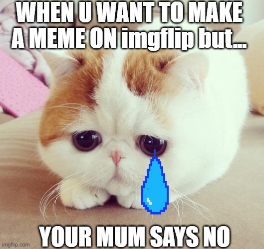 Sad Cat | WHEN U WANT TO MAKE A MEME ON imgflip but... YOUR MUM SAYS NO | image tagged in sad cat | made w/ Imgflip meme maker