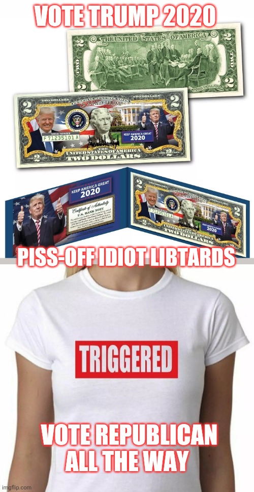 VOTE TRUMP 2020 VOTE REPUBLICAN ALL THE WAY PISS-OFF IDIOT LIBTARDS | made w/ Imgflip meme maker