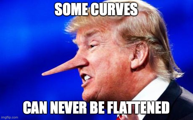 Trump Pinoccio | SOME CURVES; CAN NEVER BE FLATTENED | image tagged in trump pinoccio | made w/ Imgflip meme maker