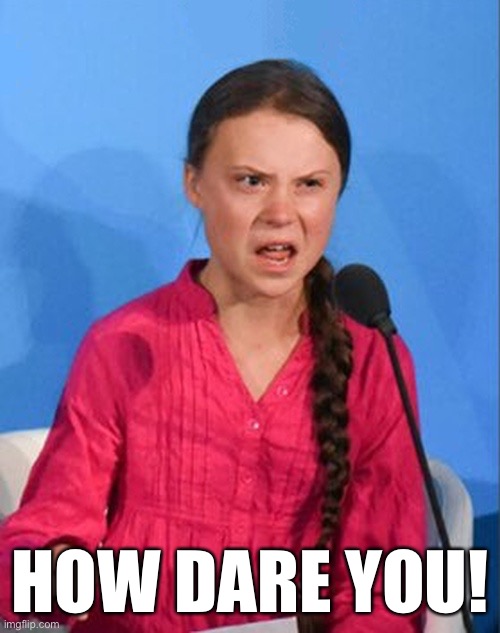 Greta Thunberg how dare you | HOW DARE YOU! | image tagged in greta thunberg how dare you | made w/ Imgflip meme maker