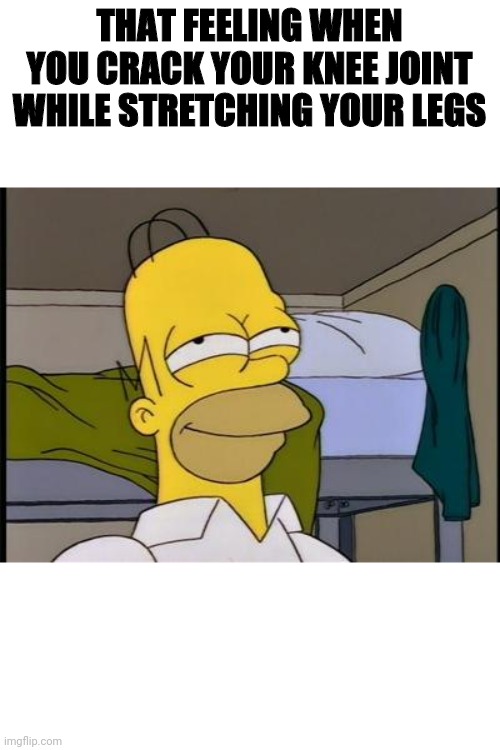 Homer satisfied | THAT FEELING WHEN YOU CRACK YOUR KNEE JOINT WHILE STRETCHING YOUR LEGS | image tagged in homer satisfied | made w/ Imgflip meme maker