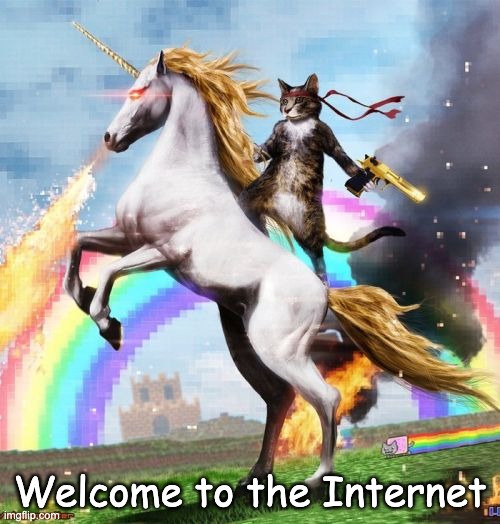 Welcome To The Internets Meme | Welcome to the Internet | image tagged in memes,welcome to the internets | made w/ Imgflip meme maker