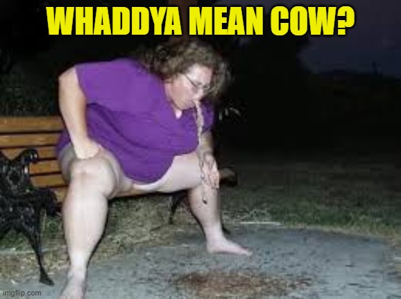 WHADDYA MEAN COW? | made w/ Imgflip meme maker