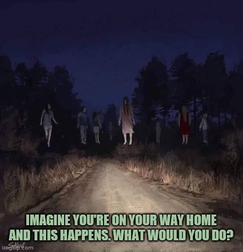 Skewered? | IMAGINE YOU'RE ON YOUR WAY HOME AND THIS HAPPENS. WHAT WOULD YOU DO? | image tagged in skewered | made w/ Imgflip meme maker