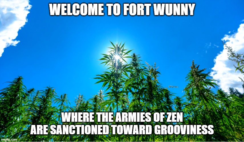 Oh wot a sunny day it is | WELCOME TO FORT WUNNY; WHERE THE ARMIES OF ZEN ARE SANCTIONED TOWARD GROOVINESS | image tagged in oh wot a sunny day it is | made w/ Imgflip meme maker