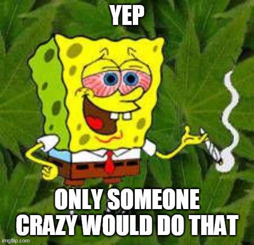 Weed | YEP ONLY SOMEONE CRAZY WOULD DO THAT | image tagged in weed | made w/ Imgflip meme maker