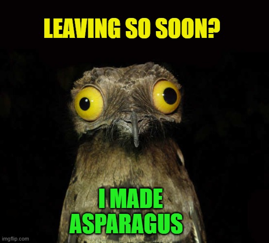 LEAVING SO SOON? I MADE ASPARAGUS | image tagged in owl,meme | made w/ Imgflip meme maker