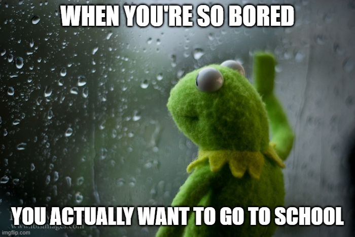 kermit window | WHEN YOU'RE SO BORED; YOU ACTUALLY WANT TO GO TO SCHOOL | image tagged in kermit window | made w/ Imgflip meme maker