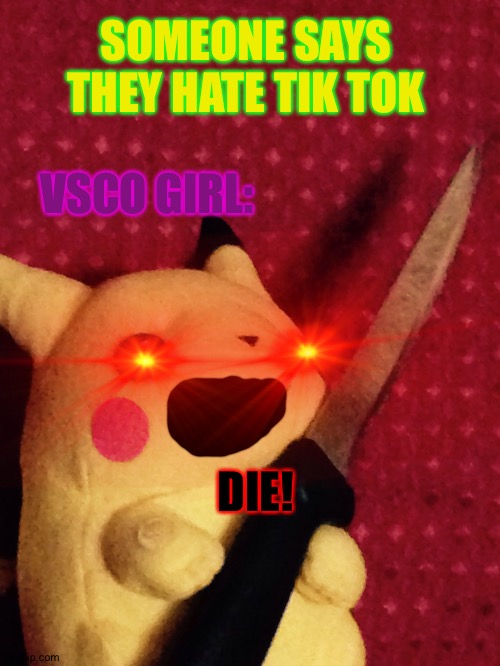 PIKACHU learned STAB! | SOMEONE SAYS THEY HATE TIK TOK; VSCO GIRL:; DIE! | image tagged in pikachu learned stab | made w/ Imgflip meme maker