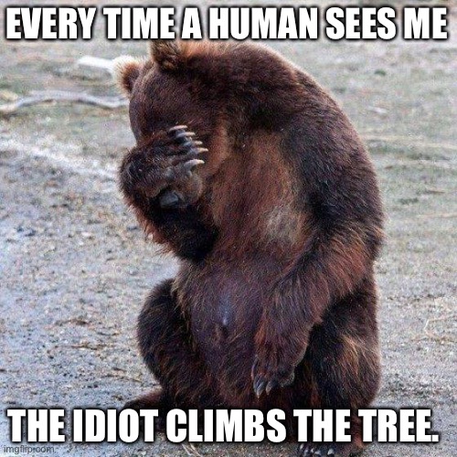 Poor animals | EVERY TIME A HUMAN SEES ME; THE IDIOT CLIMBS THE TREE. | image tagged in poor animals | made w/ Imgflip meme maker