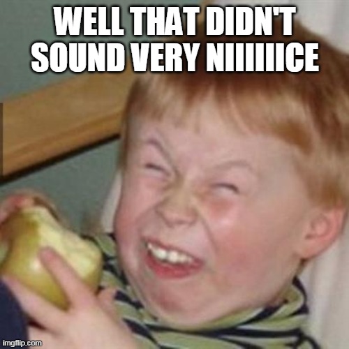 mocking laugh face | WELL THAT DIDN'T SOUND VERY NIIIIIICE | image tagged in mocking laugh face | made w/ Imgflip meme maker