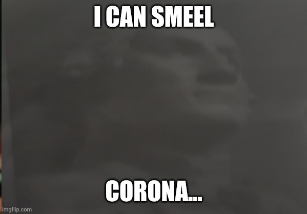 I CAN SMEEL; CORONA... | image tagged in george washington,funny | made w/ Imgflip meme maker