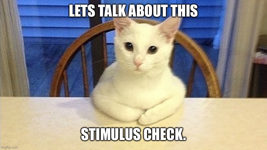 We Need To Talk cat | LETS TALK ABOUT THIS; STIMULUS CHECK. | image tagged in we need to talk cat | made w/ Imgflip meme maker