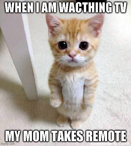 Cute Cat Meme | WHEN I AM WACTHING TV; MY MOM TAKES REMOTE | image tagged in memes,cute cat | made w/ Imgflip meme maker