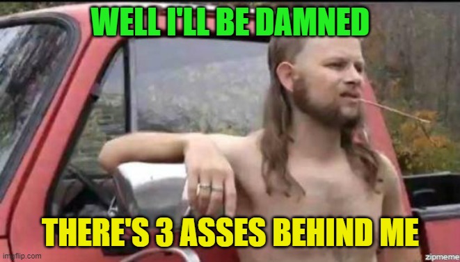 almost politically correct redneck | WELL I'LL BE DAMNED THERE'S 3 ASSES BEHIND ME | image tagged in almost politically correct redneck | made w/ Imgflip meme maker