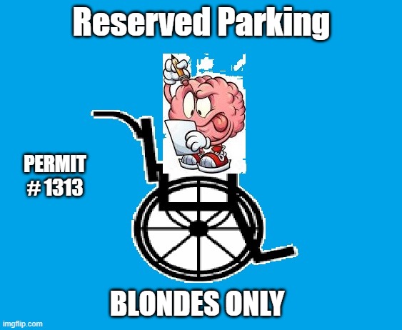 Parking Permit: Blonde slot. | Reserved Parking; PERMIT # 1313; BLONDES ONLY | image tagged in humor,fun,comedy,admission | made w/ Imgflip meme maker
