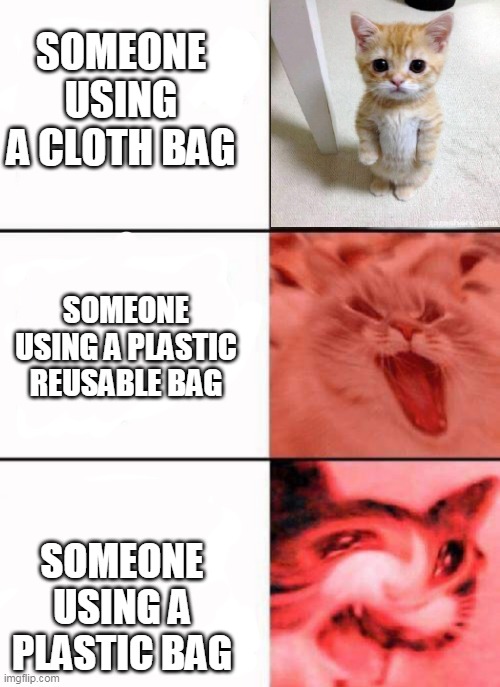 Crying cats | SOMEONE USING A CLOTH BAG; SOMEONE USING A PLASTIC REUSABLE BAG; SOMEONE USING A PLASTIC BAG | image tagged in crying cats | made w/ Imgflip meme maker