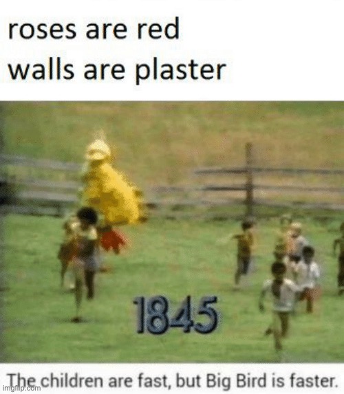 image tagged in memes,big bird | made w/ Imgflip meme maker