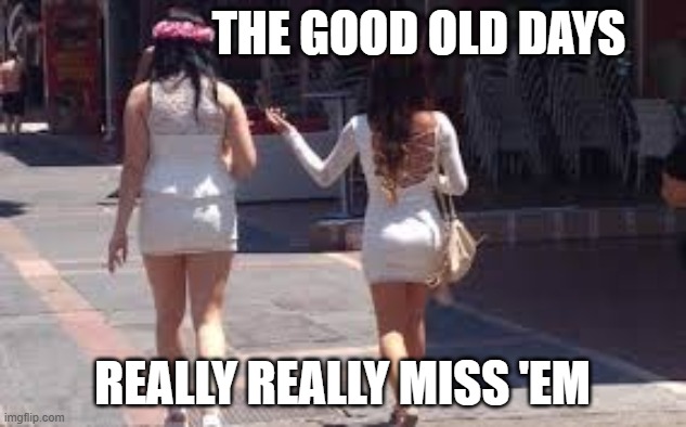 Missing the Good old days | THE GOOD OLD DAYS; REALLY REALLY MISS 'EM | image tagged in walk of shame,shame,bars | made w/ Imgflip meme maker