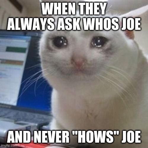Crying cat | WHEN THEY ALWAYS ASK WHOS JOE; AND NEVER "HOWS" JOE | image tagged in crying cat | made w/ Imgflip meme maker