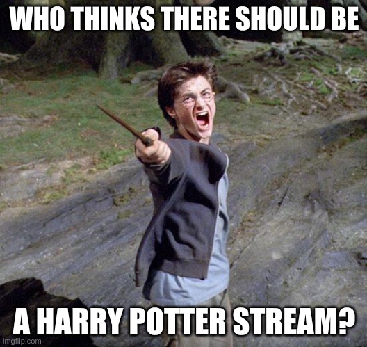 Harry potter | WHO THINKS THERE SHOULD BE; A HARRY POTTER STREAM? | image tagged in harry potter | made w/ Imgflip meme maker