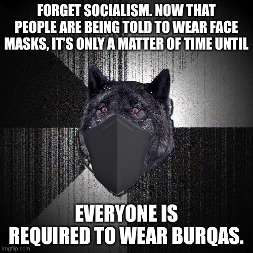 People will get triggered in 3...2...1... | FORGET SOCIALISM. NOW THAT PEOPLE ARE BEING TOLD TO WEAR FACE MASKS, IT’S ONLY A MATTER OF TIME UNTIL; EVERYONE IS REQUIRED TO WEAR BURQAS. | image tagged in memes,insanity wolf,bad joke,virus,mask,face | made w/ Imgflip meme maker
