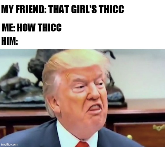 trump thicc | MY FRIEND: THAT GIRL'S THICC; ME: HOW THICC; HIM: | image tagged in trump thicc | made w/ Imgflip meme maker