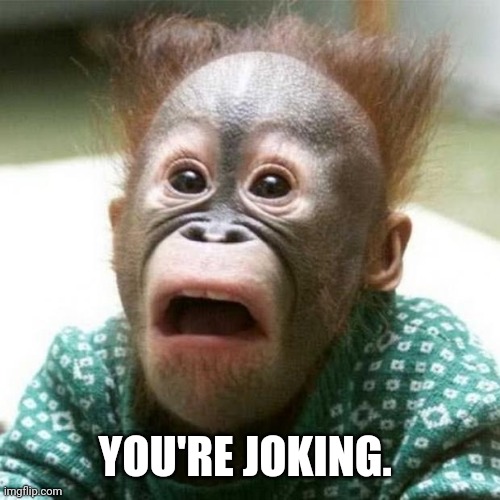 Shocked Monkey | YOU'RE JOKING. | image tagged in shocked monkey | made w/ Imgflip meme maker
