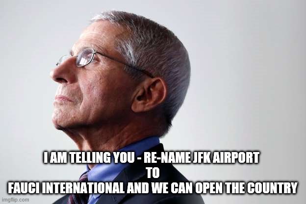fauci snub | I AM TELLING YOU - RE-NAME JFK AIRPORT 
TO
FAUCI INTERNATIONAL AND WE CAN OPEN THE COUNTRY | image tagged in fauci snub | made w/ Imgflip meme maker