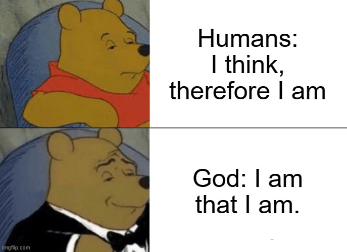 Tuxedo Winnie The Pooh | Humans: I think, therefore I am; God: I am that I am. | image tagged in memes,tuxedo winnie the pooh | made w/ Imgflip meme maker