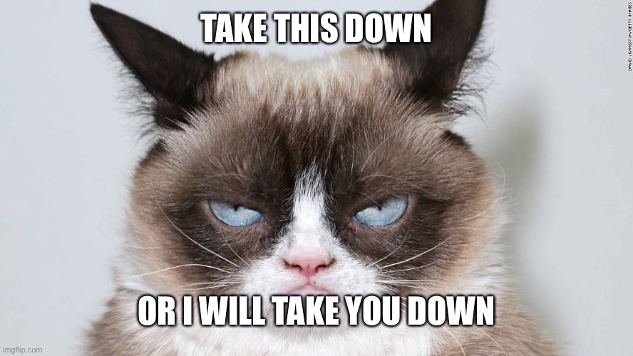 grumpy cat 2.0 | TAKE THIS DOWN OR I WILL TAKE YOU DOWN | image tagged in grumpy cat 20 | made w/ Imgflip meme maker