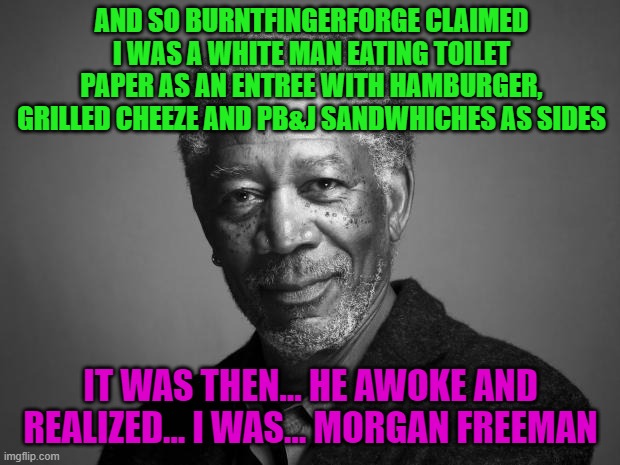 Morgan Freeman | AND SO BURNTFINGERFORGE CLAIMED I WAS A WHITE MAN EATING TOILET PAPER AS AN ENTREE WITH HAMBURGER, GRILLED CHEEZE AND PB&J SANDWHICHES AS SI | image tagged in morgan freeman | made w/ Imgflip meme maker