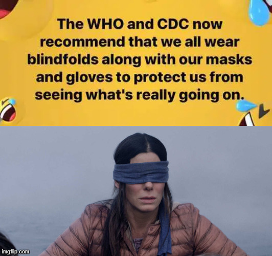 image tagged in memes,bird box | made w/ Imgflip meme maker